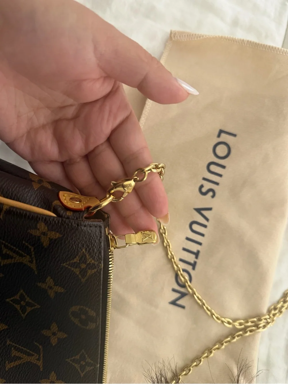Louis Vuitton Eva Pochette